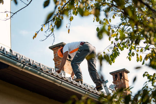 Tile Roofing Contractor in Catlin, IL