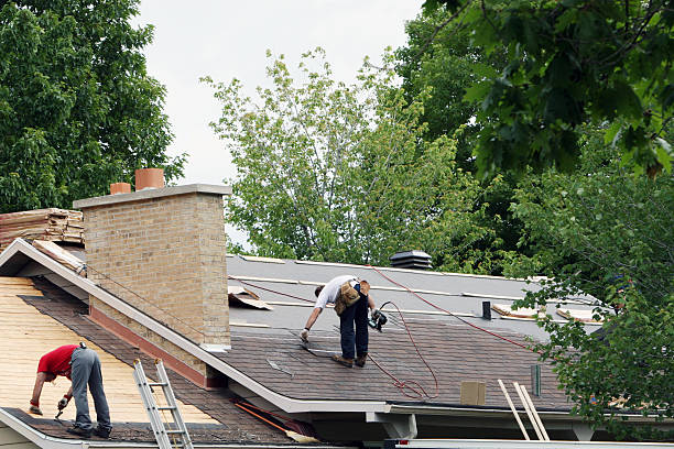 Best Roof Gutter Cleaning  in Catlin, IL