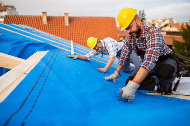 Best Storm Damage Roof Repair  in Catlin, IL